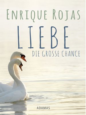 cover image of Liebe